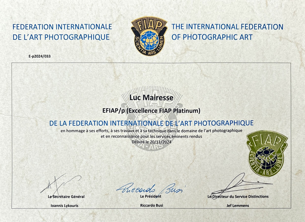 250529_Efiapp_platinium